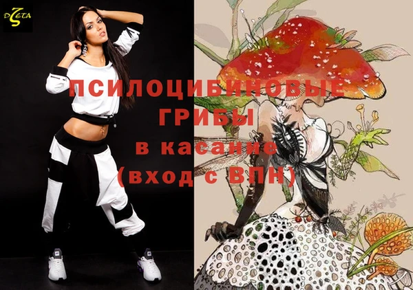 стаф Балахна